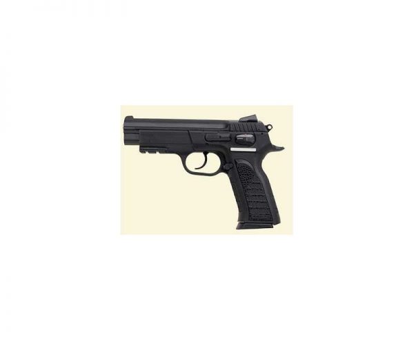 EAA Corp Witness .45ACP BL with .22LR Conversion Kit