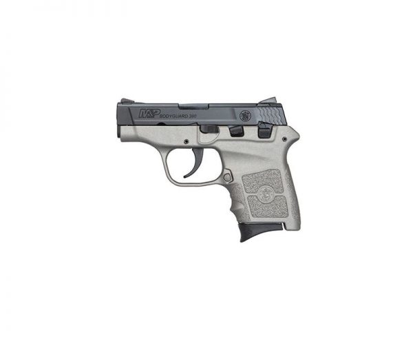 Smith and Wesson M&P Bodyguard 380 Gray / Black .380 ACP 2.75" Barrel 6-Rounds