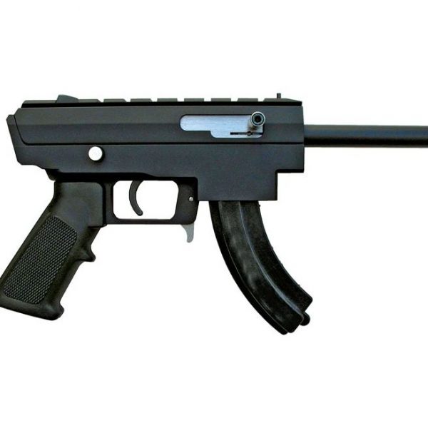 Excel Industries X-22P 22 LR PInsight Technology 4.5 inch 25rd