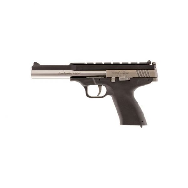 Excel Arms MP-22 Stainless Steel Slide Polymer Frame Black Semi Auto Pistol .22 WMR 6.5 Inch Barrel 9 Rounds Adjustable Sights