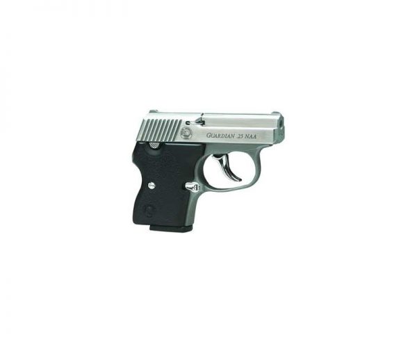 NAA GRDN 25NAA 6RD Stainless FC