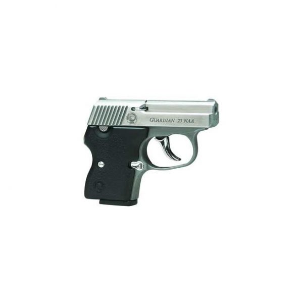 NAA GRDN 25NAA 6RD Stainless FC