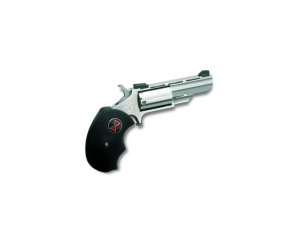 North American Arms .22LR 2 inch Black Widow Stainless Adjustable Sights