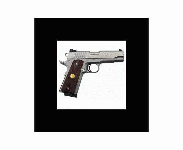 Para USA LTC LTD .45ACP Stainless